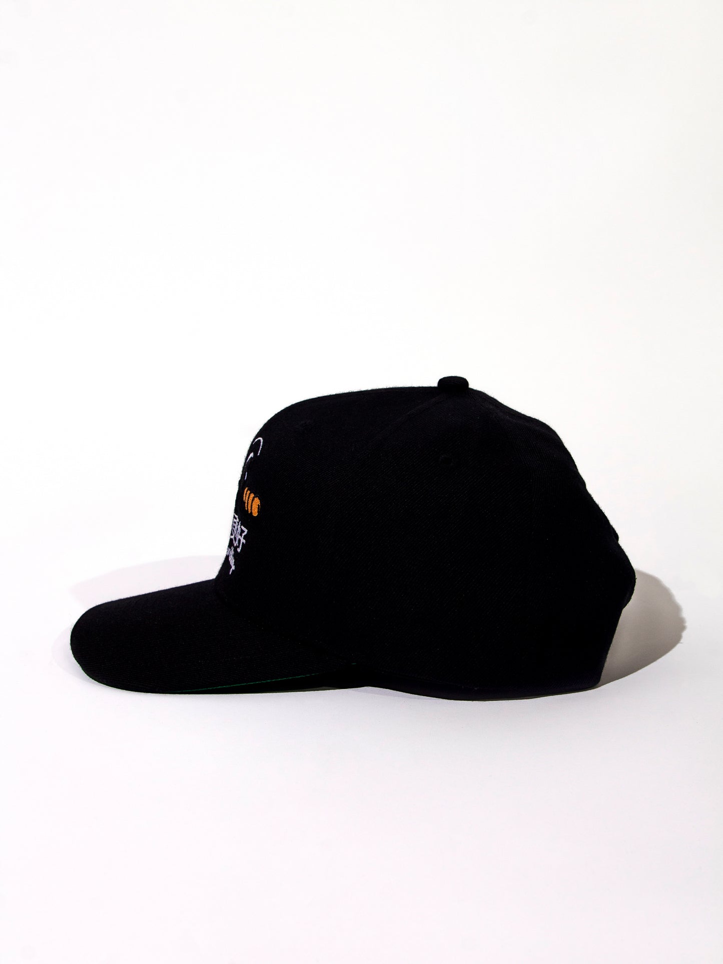 “Be Who You Are” Snapback (Black)